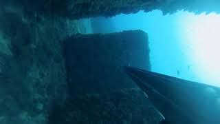 Cormorani vs Antonello : 2-0 !!Chapter 7-Spearfishing-Messina