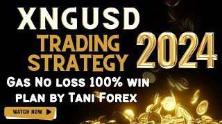 XNGUSD Trading Strategy 2024, natural Gas No loss 100% win plan by Tani Forex in Urdu and Hindi 2024