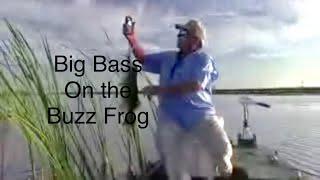 Big Bass on the Sprinker Buzz Frog