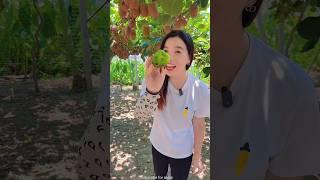 Beautiful Fresh Fruit  Harvesting from Farm with Rural Farmer  #shorts #fruit #youtubeshorts_