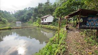 Ternyata ada Pemukiman warga di tempat Seindah ini, Pedesaan Lebak Banten