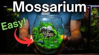 Creating a Moss Terrarium - Mossarium Tutorial