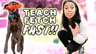 TRAIN YOUR DOG FETCH FAST  NEW! 3 Step Strategy that works on any dog