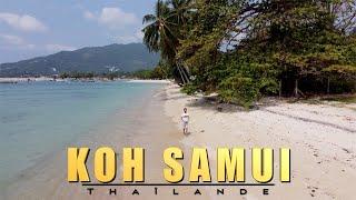 Que faire à Koh Samui?