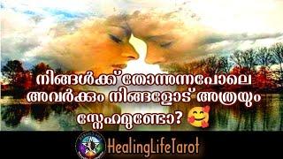 ഈ വ്യക്തിയുടെ മനസ്സിലുള്ളത് കേട്ടാൽ നിങ്ങൾ വിശ്വസിക്കില്ല. കണ്ട് നോക്കൂ  #currentfeelings #tarot