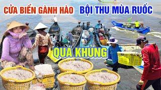 QUÁ KHỦNG BỘI THU NGHỀ ĐÁY RUỐC KIẾN TIỀN TRIỆU - QUÁ DỄ THƯƠNG CHỢ HẢI SẢN GÀNH HÀO