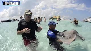 Cool Stingrays