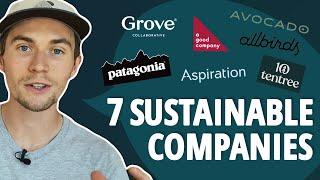 The 7 Most Environmentally Friendly & Sustainable Companies to Support