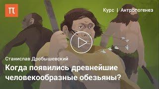 Возникновение человека — Станислав Дробышевский