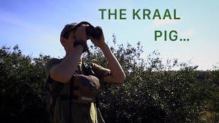 THE KRAAL PIG...     | Bowhunting Warthog | Warthog hunting | Bowhunting Eastern Cape |