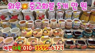 250609#예쁜다육 중고화분 새화분 모두 폭탄가로 판매하니 놓치지 마세요