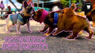 FRENCHIES FOR FUGEES | BIG TYME EVENTZ