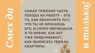 Подборка анекдотов. Смешные анекдоты. Свежие. Новые. Юмор дня.