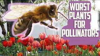 7 Worst Plants For Bees, Butterflies and Other Pollinators