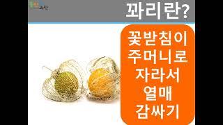 골든베리PPT 미리보기 영상