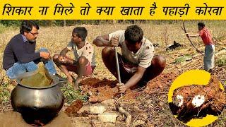 शिकार ना मिला तो आदिवासी लड़के ने क्या किया । What Hill Korwa Tribals eat । The Tribal Kitchen