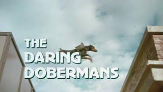 THE DARING DOBERMANS (1973) Trailer