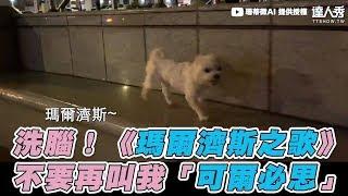【洗腦！《瑪爾濟斯之歌》 不要再叫我「可爾必思」】｜珊蒂微AI