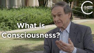 Roger Penrose - What is Consciousness?