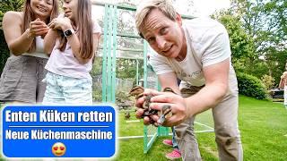 XXL Enten Küken Gehege bauen  Neue Küchenmaschine zum Grillen! Mamiseelen