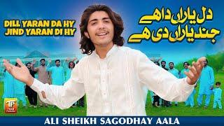 Dil Yaran Di Hay Jind Yaran Di Hay | Ali Sheikh Sagodhay Aala | (Official Video) | Thar Production