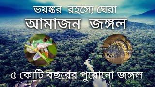 আমাজন জঙ্গলের সব রহস্য। Story of Amazon Rainforest