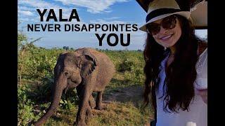 ONE OF THE BEST NATIONAL PARKS IN WORLD! | Yala National Park, Sri Lanka