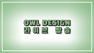 아울디자인 라이브 방송 !!