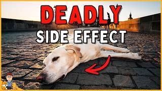 The pain killer side effect nobody is talking about (veterinarian reveals)