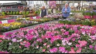 QU’EST-CE QU’UNE JARDINERIE AUJOURD’HUI ? RENCONTRE AVEC UN PROFESSIONNEL PASSIONNÉ ET PASSIONNANT