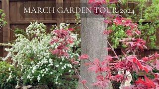 Texas Garden Tour March 2024 #northtexasgardening #zone8b #provenwinners #costcoyardistrygreenhouse