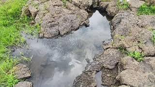 The Magical Aquifers at Benster Farm in Mbulutini.