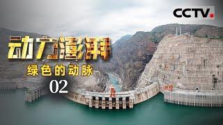 [Surging Power] The Green Heartbeat EP2【CCTV纪录】