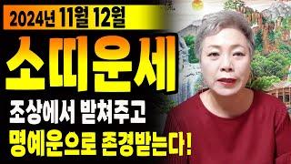 2024년 하반기 11월, 12월 소띠운세이젠 내가 누리고 갈 운이 온다! 힘내서 움직여주세요! 49년생 61년생 73년생 85년생 97년생 소띠운세 #서울점집 장안동 방울보살