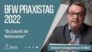 BFW-Praxistag 2022 | Die Zukunft der Kiefernarten