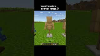 Minecraft Secret Blocks Moment