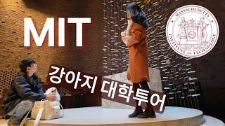 MIT 공대 박사님이 강아지에게 해주는 캠퍼스 투어 [미국07]