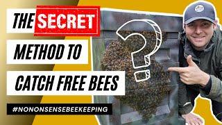 The Secret Method Swarms Of Bees Cannot Resist - How To Catch Free Bees