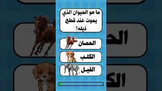 ما هو الحيوان الذي يري الملائكة؟ | اسئلة ثقافية متنوعة |سؤال وجواب #shorts #الغاز  #عبقرينو_الألغاز