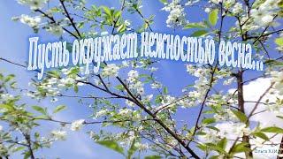 #Пустьокружаетнежностью весна#Музыка Сергея Чекалина