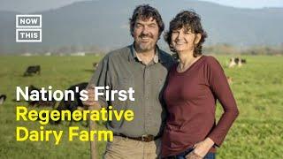 This Family Runs the First Regenerative Dairy Farm in the U.S.