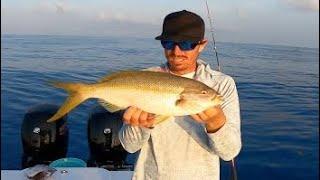 Yellowtail Snapper Fishing | Pro Tips | Light Tackle | Episode 4