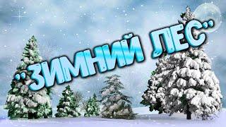 Марковский СК «Зимний лес»