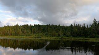 Thunderstorm and Small Pan Size Trout From a Kayak