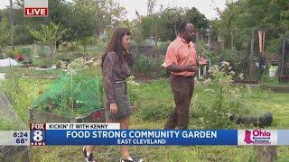 Food Strong working to cultivate passion in city kids for gardening