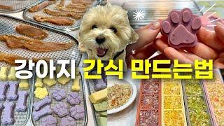  강아지 화식 / 우유껌 / 수제 간식  건강하고 손쉽게 만들기!! 보관법, 유통기한