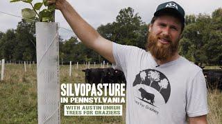 Silvopasture in Pennsylvania with Austin Unruh | Trees For Graziers