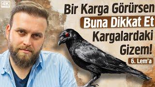 Bir Karga Görürsen Buna Dikkat Et Kargalardaki Gizem! - 6. Lema | Fatih Ünal