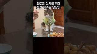 집사한테 음식 하나만 요구하는 냥냥이