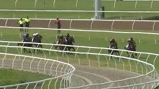 ARABIAN SUMMER trials at Gold Coast